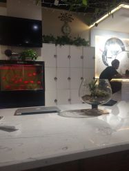 点击看大图 -虫二·专注健康烫染沙龙