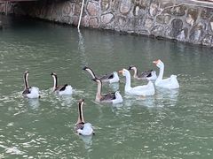 -香山小厨(南联路店)