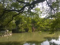 -小洲村