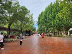 -郑州方特梦幻王国