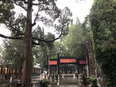 -保定直隶总督署博物馆