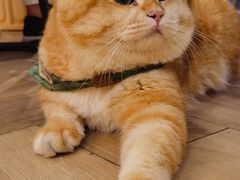 -天井·丑面包搭咖啡