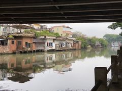 -黄连大头华烧鹅店(大良店)