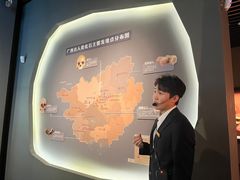 -广西壮族自治区博物馆