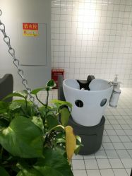 -P.STYLE派斯造型