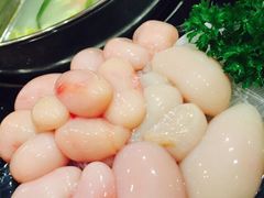 叙亨轩海鲜火煱-叙亨轩海鲜火锅