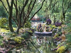 -上海共青森林公园