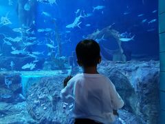 -多彩贵州城极地海洋世界