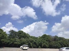 -胜华驾校·小猫学车(银都店)