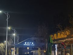 -油梨树AVOCADO TREE(顺义新国展店)