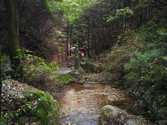 -王顺山国家森林公园