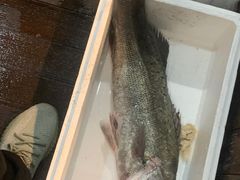 -浩运海鲜·16年专注青岛菜(石老人店)