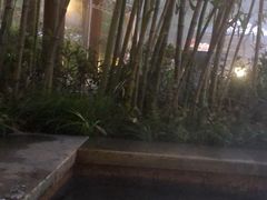 -深业半汤御泉庄温泉