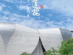 -杭州奥体中心-体育场