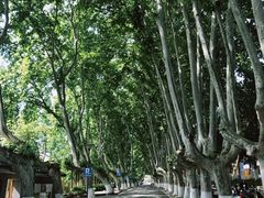 -T80科技文化国际社区-停车场