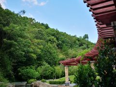 -神光山国家森林公园