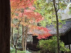-黄公望隐居地