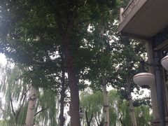 -国家图书馆·古籍馆