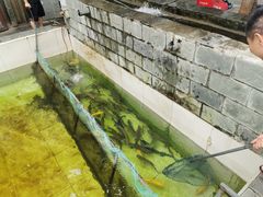 -钰田大院·碳烤虹鳟鱼·怀柔地道农家菜(雁栖湖店)