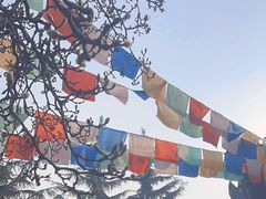 -西安市广仁寺