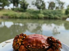 -乡乐园蟹庄·阳澄湖农家乐