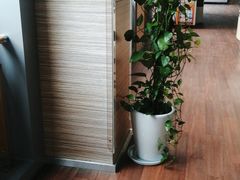 -一兆韦德(万源城店)