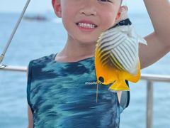 -小猫钓鱼海钓俱乐部(椰梦长廊店)