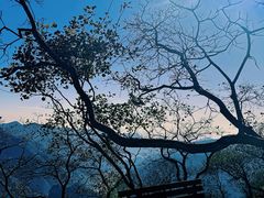 -周口店坡峰岭风景区