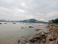 -野狸岛
