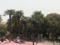 -苏州太湖西山岛开心农场