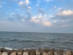 -东堤公园