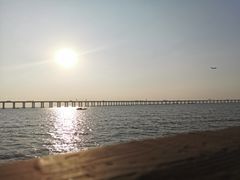 -宝安西湾红树林湿地公园