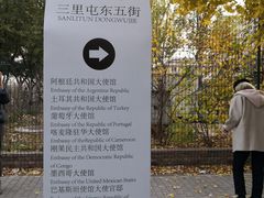 -三里屯东五街银杏大道