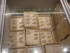 -水喜尚品手工自助水饺(太原街中兴店)