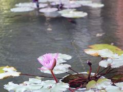 -筼筜书院