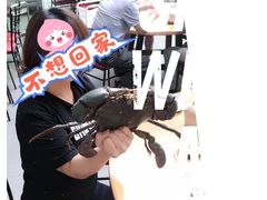 -無招牌海鮮(芽笼店)