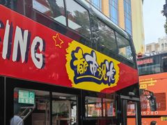 -BUS TOUR观光巴士