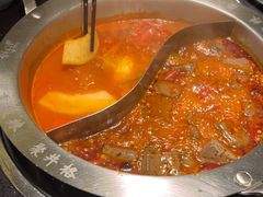 -井格重庆火锅(西直门凯德Mall店)