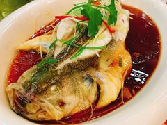 清蒸海鲈鱼-高德海鲜舫(黄河南大街店)