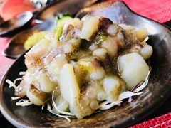 芥末章鱼-春草居酒屋·晴子の店