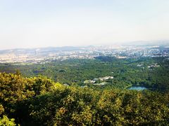 -紫金山山顶公园