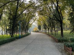 -森林公园(尖草坪区)