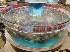 -魏铭鱼头捞饭(晋阳路店)