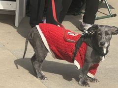 -余味重庆小面(高新一路店)