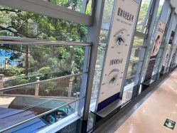 -广州健丽·去眼袋医疗美容机构