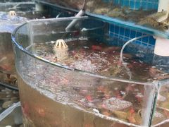 -仙螺岛海鲜自助餐厅(总店)