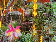 -正佳雨林生态植物园
