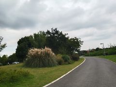 -九里河湿地公园