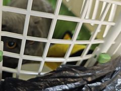 -派特宠物医院(圆融广场店)