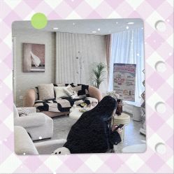 -四七美学·半永久纹眉